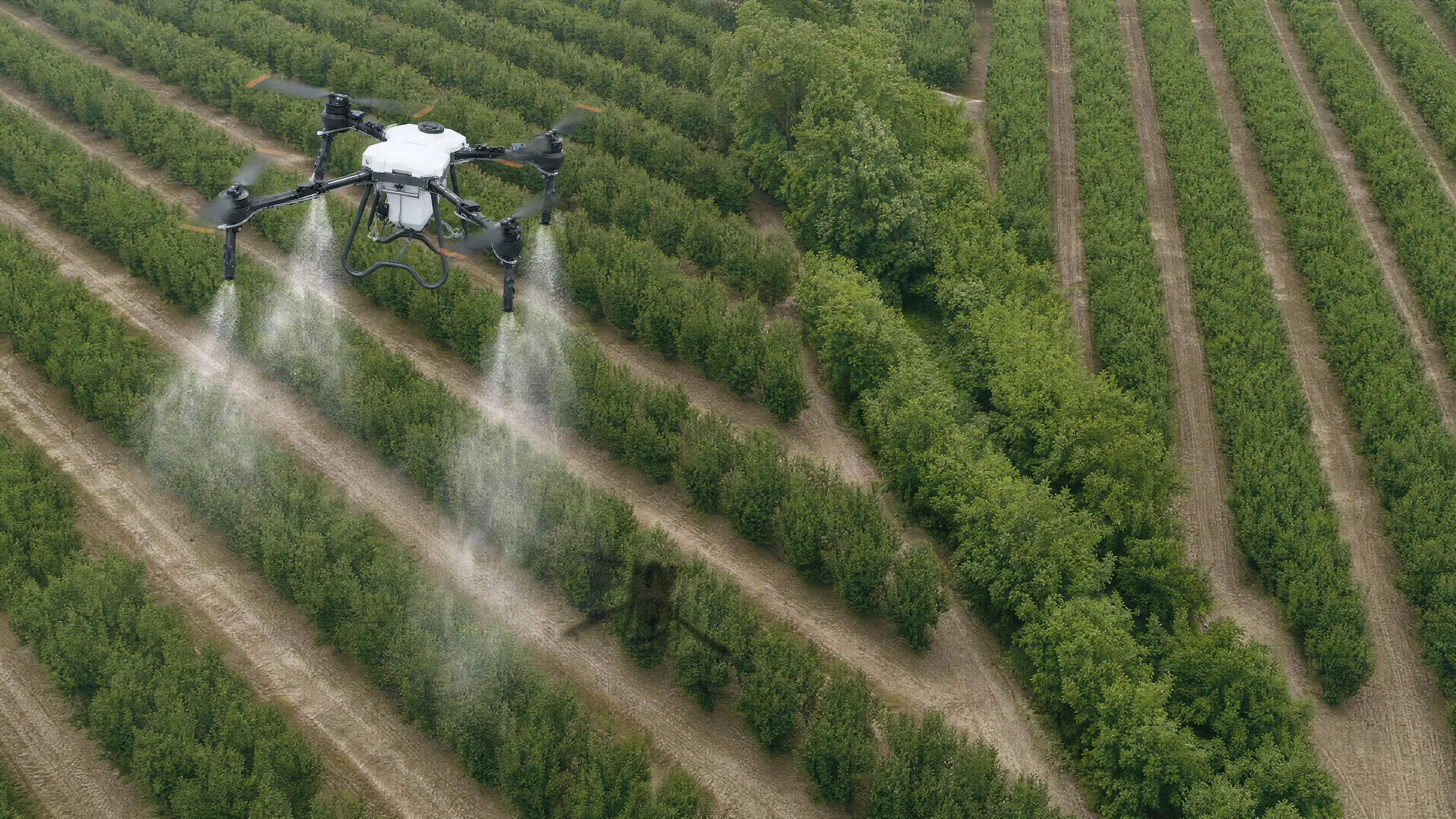 Agricultural spray drone working over crop rows